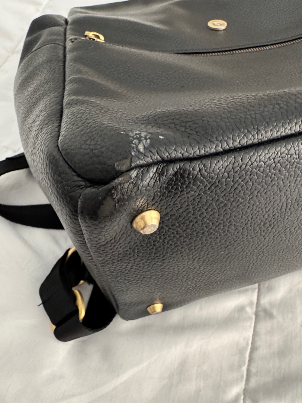 Freshly Picked Black Backpack with Gold Hardware - Picture 3 of 4
